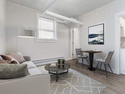 1 Bedroom Apartment Unit Regina SK For Rent At 1015