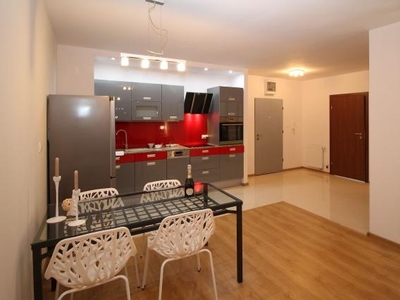 1 Bedroom Apartment Unit Toronto ON For Rent At 4000