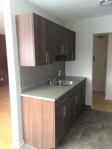 1 Bedroom Apartment Unit Winnipeg MB For Rent At 1100