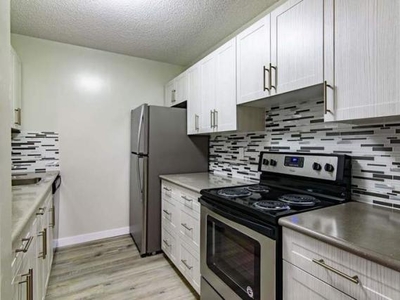 1 Bedroom Apartment Unit Winnipeg MB For Rent At 1100