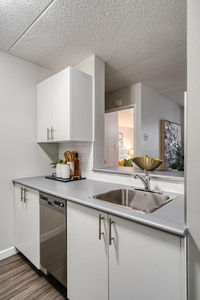 1 Bedroom Apartment Unit Winnipeg MB For Rent At 1194