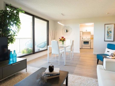 1 Bedroom Apartment Unit Winnipeg MB For Rent At 1200