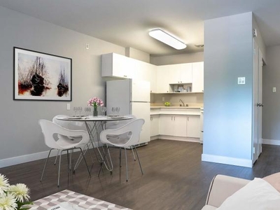 1 Bedroom Apartment Unit Winnipeg MB For Rent At 1350