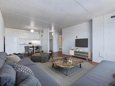 1 Bedroom Apartment Unit Winnipeg MB For Rent At 858