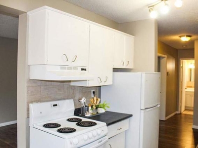 2 Bedroom Apartment Unit Edmonton AB For Rent At 1069