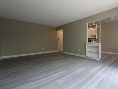 2 Bedroom Apartment Unit Edmonton AB For Rent At 1195