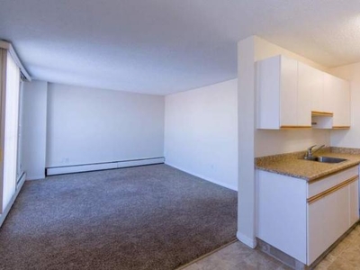 2 Bedroom Apartment Unit Edmonton AB For Rent At 1605