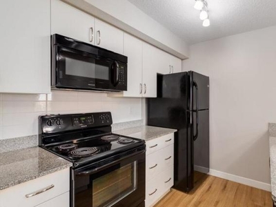 2 Bedroom Apartment Unit Edmonton AB For Rent At 1675
