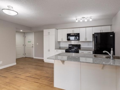 2 Bedroom Apartment Unit Edmonton AB For Rent At 1675