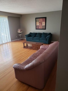 9 Bedroom Apartment Unit Edmonton AB For Rent At 725