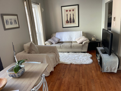 Downtown HFX Furnished Apt (Summer Sublet) FREE Utilities