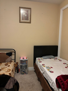 Sharing room for rent