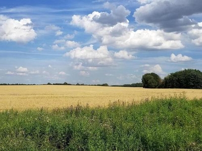 Vacant Land For Sale In Edmonton Energy And Technology Park, Edmonton, Alberta