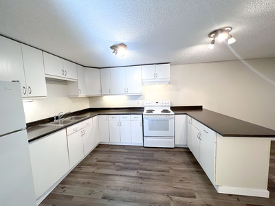 Calgary Pet Friendly Basement For Rent | Forest Lawn | ALL UTILITIES INCLUDED Large Bright