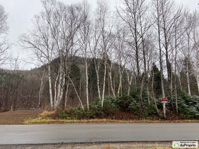 Residential Lot for sale L'Anse-St-Jean