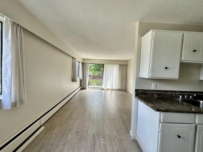 1 Bedroom Apartment Unit Burnaby BC For Rent At 2050