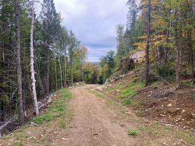 870280 square feet Land in Mont-Tremblant, Quebec