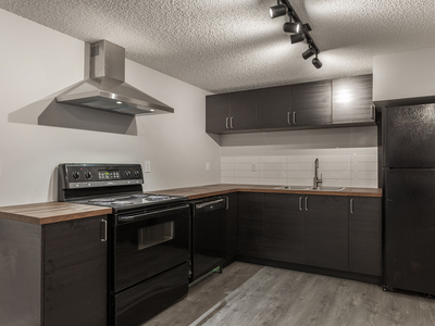 Calgary Pet Friendly Basement For Rent | Acadia | Renovated 1 Bedroom + Den