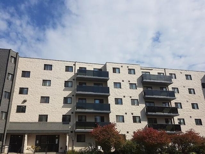1 Bedroom Apartment Unit Oshawa ON For Rent At 2045