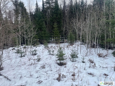 Residential Lot for sale Rivière-Rouge (Marchand)