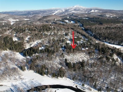 Vacant lot Ch. du Boisé-Ryan, Mont-Tremblant