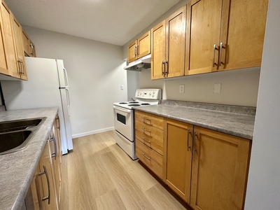 Red Deer Pet Friendly Townhouse For Rent | Oriole Park | Beautifully Renovated 3 Bed 1.5 Bath