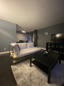 Calgary Pet Friendly Condo Unit For Rent | Lower Mount Royal | Modern One Bedroom Apartment