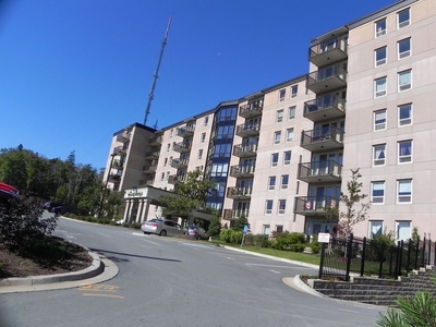 Halifax Pet Friendly Apartment For Rent | Welcome to the Palace Royale