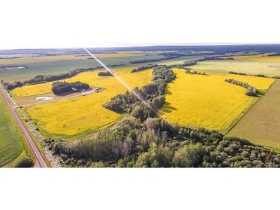 Vacant Land For Sale In Rural Grande Prairie No. 1, County of, Alberta