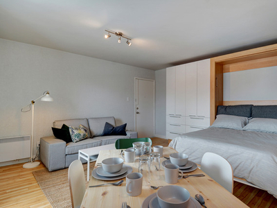 Grand loft meublé disponible dès MAINTENANT - Limoilou