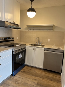 Calgary Pet Friendly Condo Unit For Rent | Lower Mount Royal | NEW RENOVATION-cozy 1 bedroom apartment
