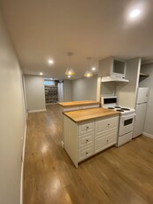 Calgary Pet Friendly Basement For Rent | Bowness | NEWLY RENOVATED, SPACIOUS BOWNESS BASEMENT