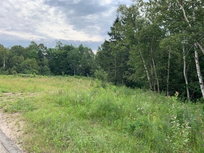 Vacant lot for sale (Charlevoix)