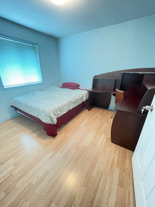 Family oriented, shared accommodations, clean environment