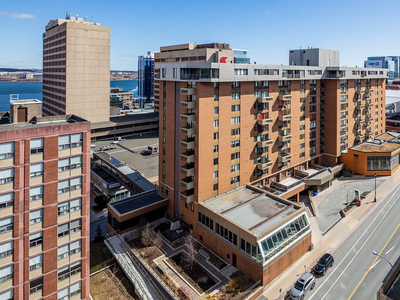 Halifax Apartments – The Plaza - 1 Bdrm available at 1881 Brunsw
