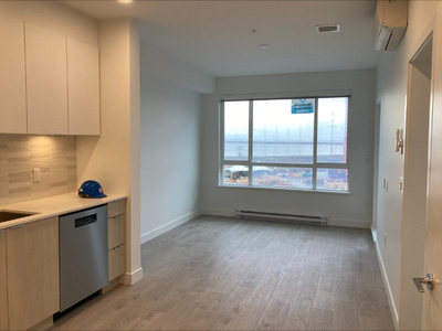 Brand New 1 Bedroom Ocean View on 4th Floor