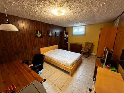 Large and nice basement Room for March 1