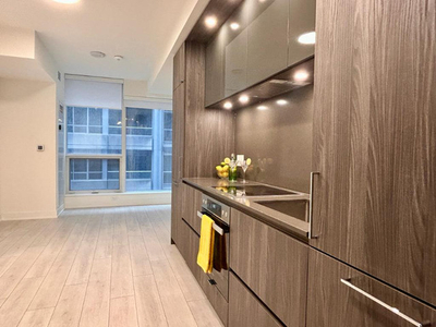 One Bedroom Condo for Lease in Downtown Toronto - 15 Mercer St.