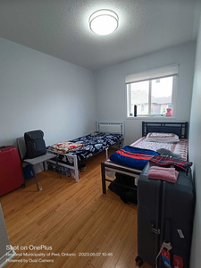 Shared room for females only in Brampton