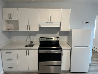 Gorgeous Downtown 1Bed Units Available Now!