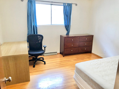 Large furnished main floor room for female roommate -walk to UC