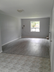 Renovated Spacious 2-bdr Townhome for rent in Town of Alvinston