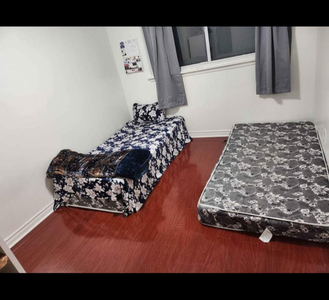 Shared room for rent for females near Bramalea City Centre