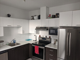 Apartment 1 bedroom / Appartement 3 ½ (1 chambre) - Plateau