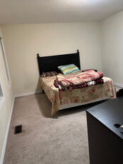 STUDENT WANTED FOR ROOM RENTAL
