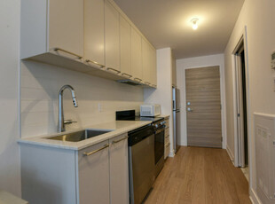 Studio 1 Bath Apartment For Rent - Downtown (Griffintown)