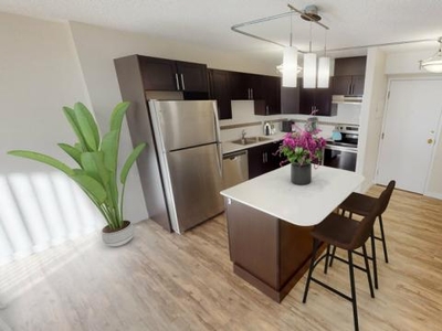 Apartment Unit Edmonton AB For Rent At 1203