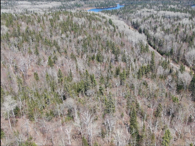 34 Acres of Land in Northern Ontario! Only 5 Hours From the GTA!
