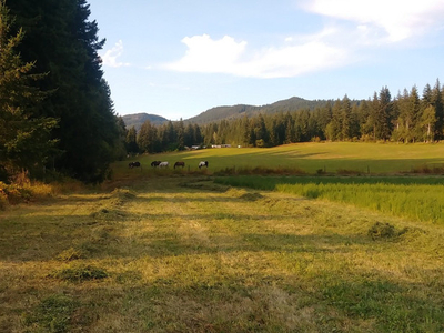 80 acres farm in the Tappen BC