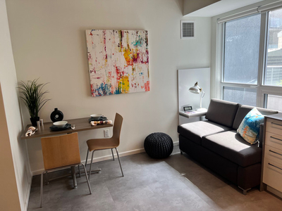 Fully Furnished Studio Apartment Downtown Ottawa